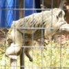 Spring day at the Albuquerque Zoo.