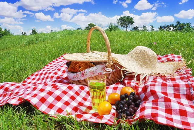 One of the best things about summer are outdoor picnics. Enjoy them even more when you prepare some food at home to bring with you.