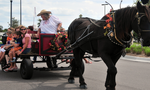 Hay rides were a hit at the Harvest Festival.