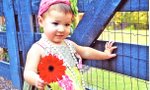 "Grandkids Are The Greatest" Ft. Myers - Photo Contest Winner

Third Prize: “Flower Child”
Submitted by Linda Lukas 
She won $25!