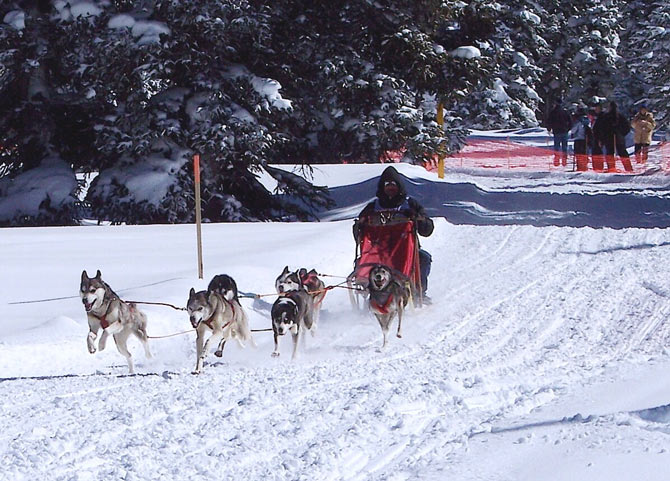 Photo by Bob Borchardt/ Delta County Independent.