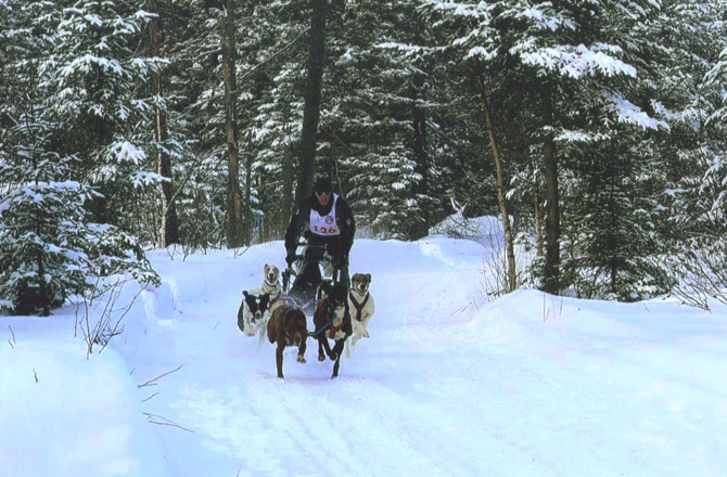 Perry raced a six-dog team at the 2009 Daaquam World Championships, but didn’t place.