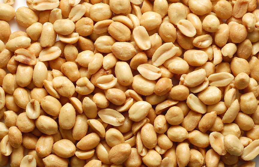 LEAP compared two strategies to prevent peanut allergy — consumption or avoidance of dietary peanut — in infants who were at high risk of developing peanut allergy because they already had egg allergy and/or severe eczema, an inflammatory skin disorder.
