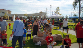 Scarecrow Stroll & Harvest Festival