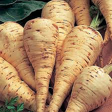 Parsnips are a great addition to a low-salt diet.

