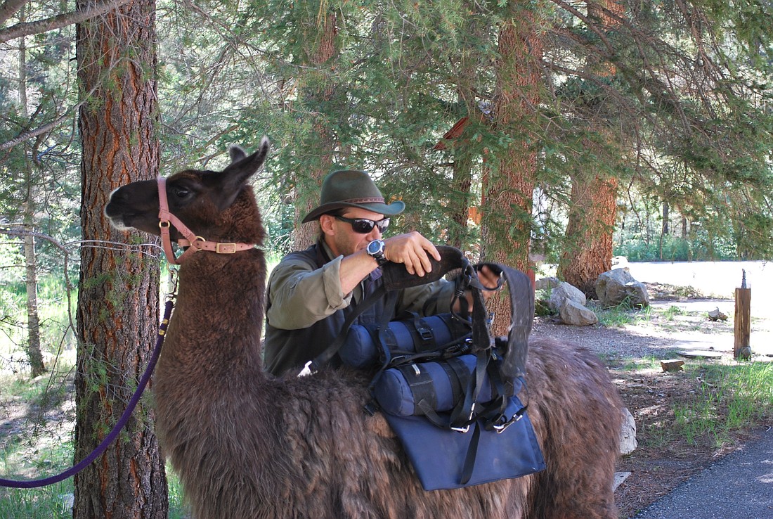 A llama trek is a fun way to explore Northern New Mexico's picturesque scenery.
Photo by Deborah Stone