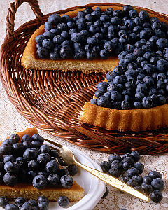 Blueberries and other "super foods for super aging" can be found in this list