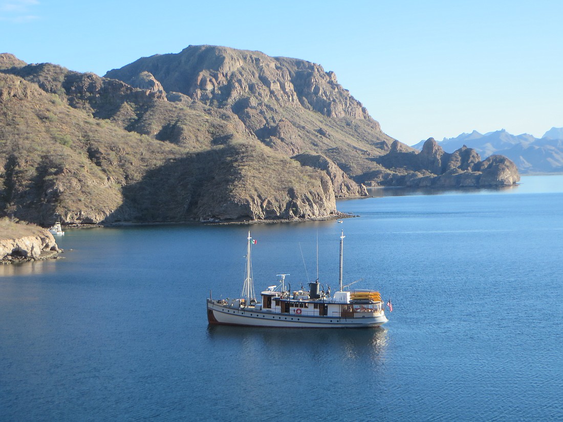 Explore Baja with a cruise on the historic M/V Westward.
Photo by Deborah Stone