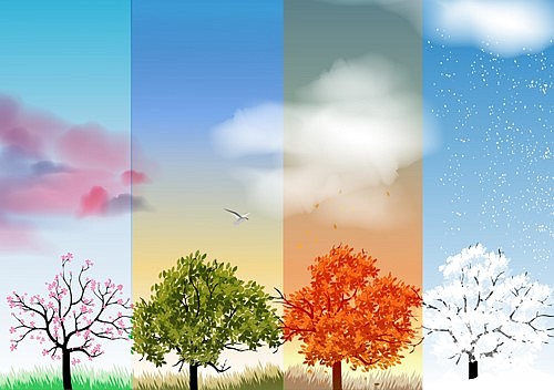 Trees of All Seasons