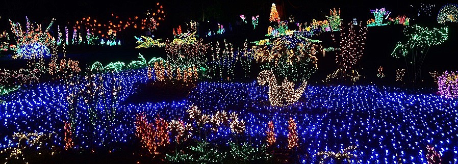 The 23rd Annual Garden d'Lights at the Bellevue Botanical Garden runs through December 31 from 4:30 to 9pm every evening, including holidays, photo by Rebecca Randall