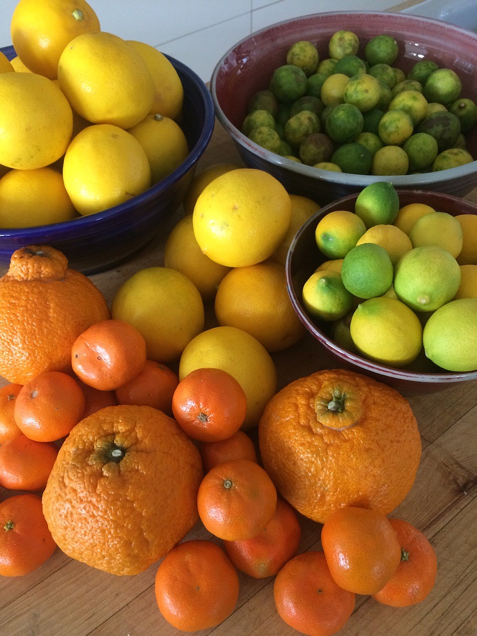 Beautiful citrus fruits are abundant during Northwest winters, bringing a little sunshine to the home cook.