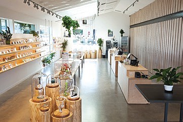Dockside Cannabis with four Seattle area locations offers comfortable shops with knowledgeable staff to help guide you on finding the right product for you