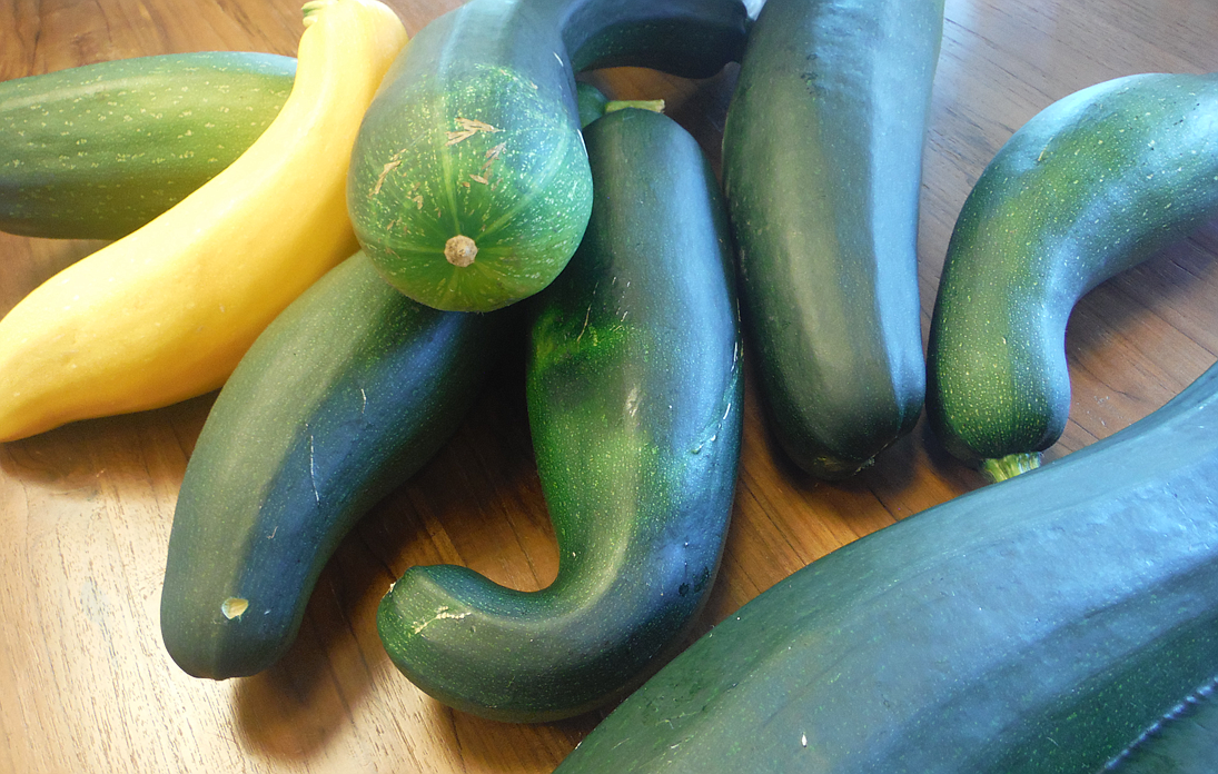 This time of the year in the Pacific Northwest yields a bounty of zucchini from the garden. Don't stress the extras. You can use them in a multitude of low-sodium recipes.