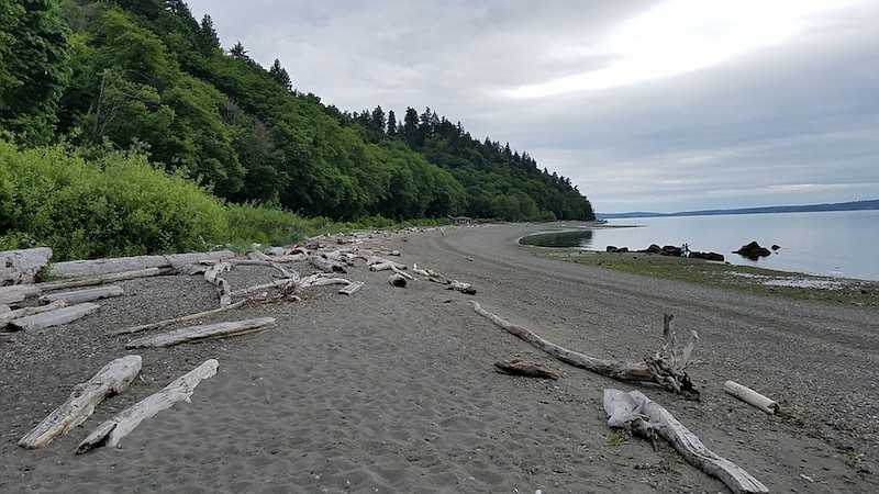 The Environmental Science Center is located at Seahurst Park, where many of their beach cleanups take place. Photo courtesy of the ESC.