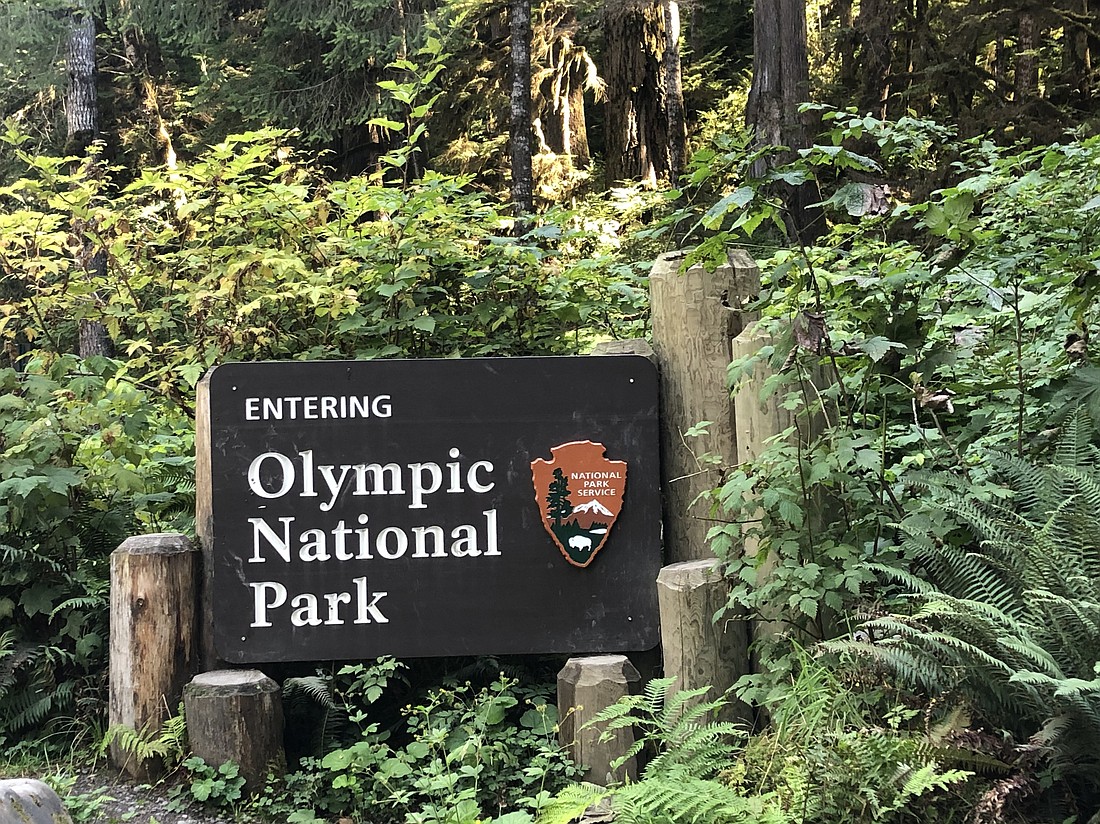 Welcome to Olympic National Park!
Photo by Debbie Stone