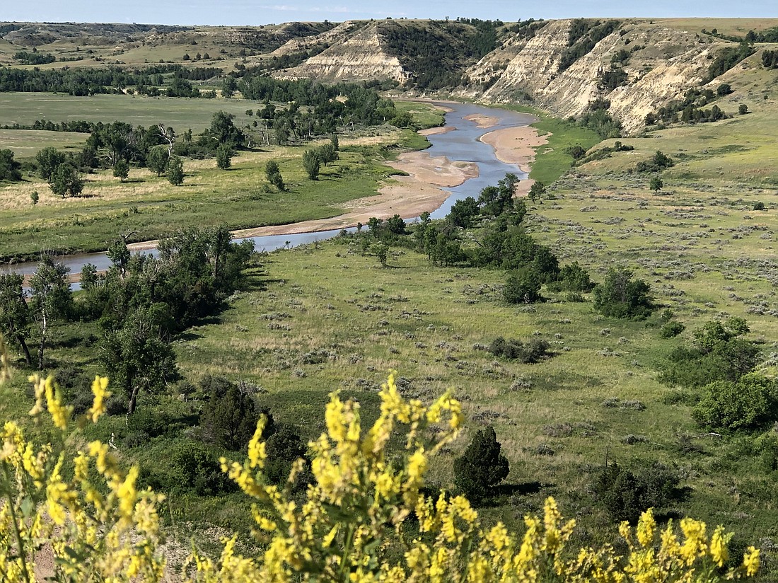 Theodore Roosevelt National Park

Photo by Debbie Stone