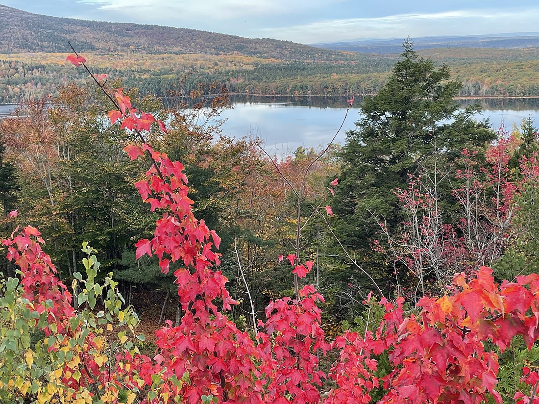 Acadia in autumn is truly spectacular.  Photo by Debbie Stone