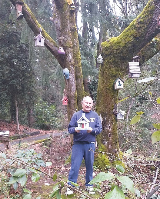 Roger has designed his Mercer Island yard as a wildlife haven, including his "birdhouse tree"