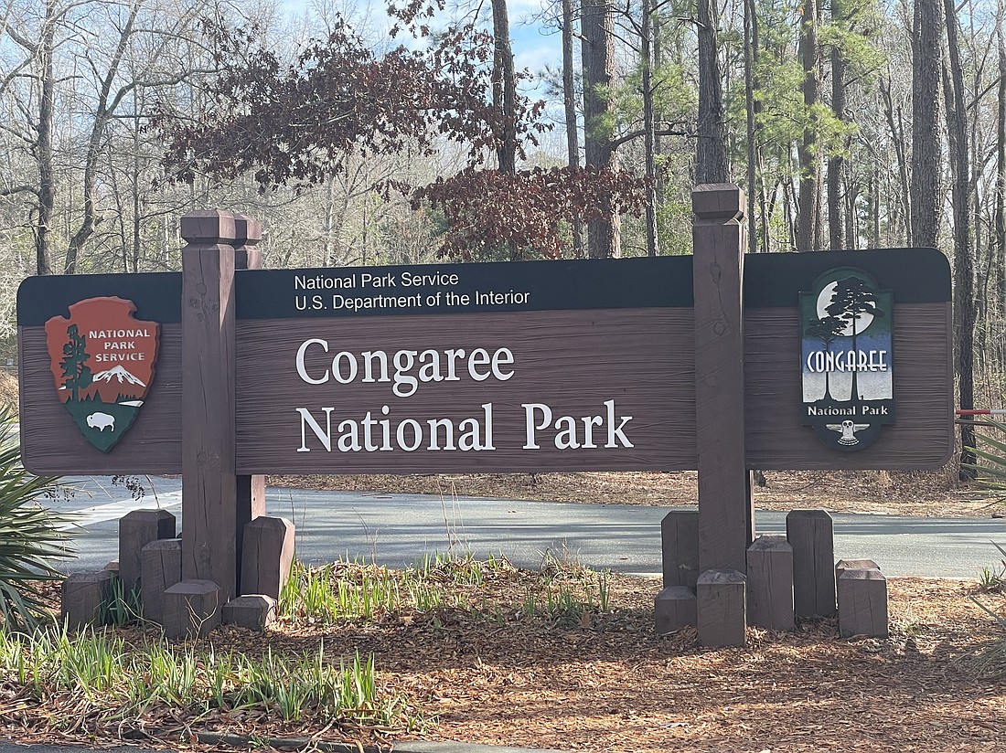 Welcome to Congaree National Park

Photo by Debbie Stone