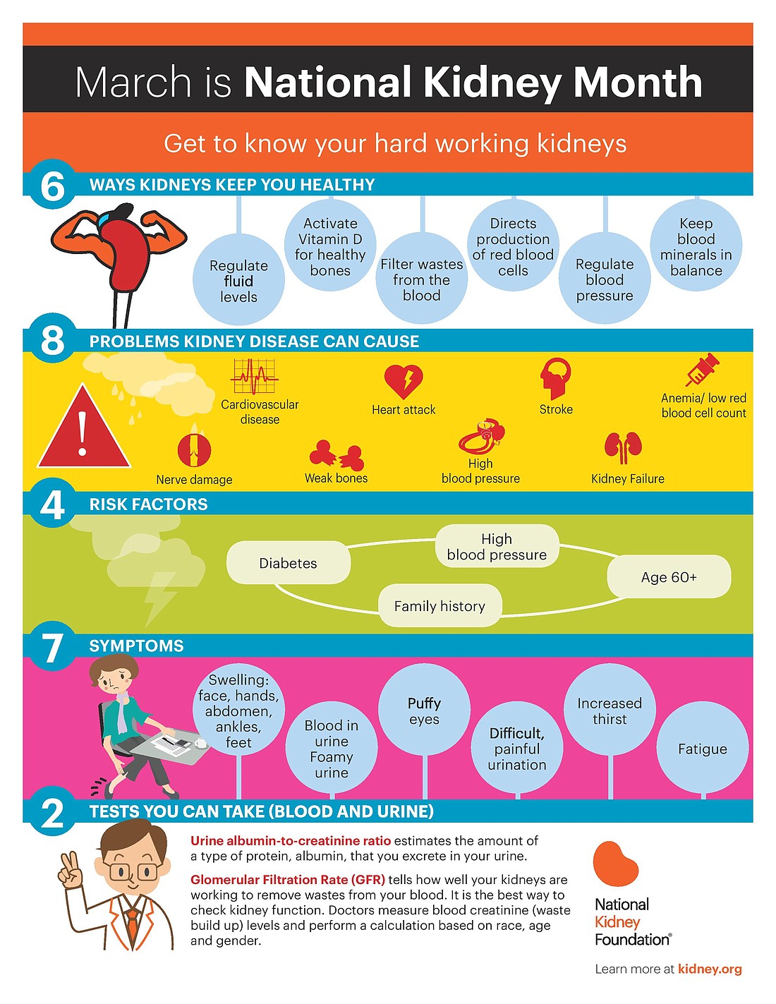 March is National Kidney Month, a time to learn about kidney health.