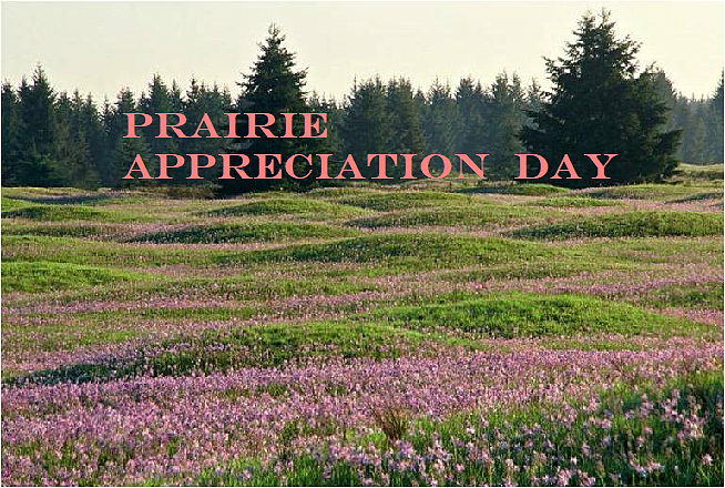 Glacier Heritage Preserve, a remnant of the original South Sound prairieland that greeted settlers to the area in the 1800s, is only open to the public once a year