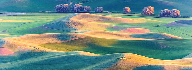 A view of the Palouse Hills from Steptoe Butte, photo by Howard Frisk