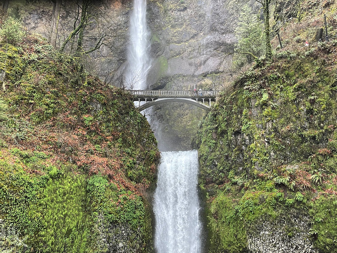 Chase waterfalls along the Columbia Gorge.  Photo by Debbie Stone
