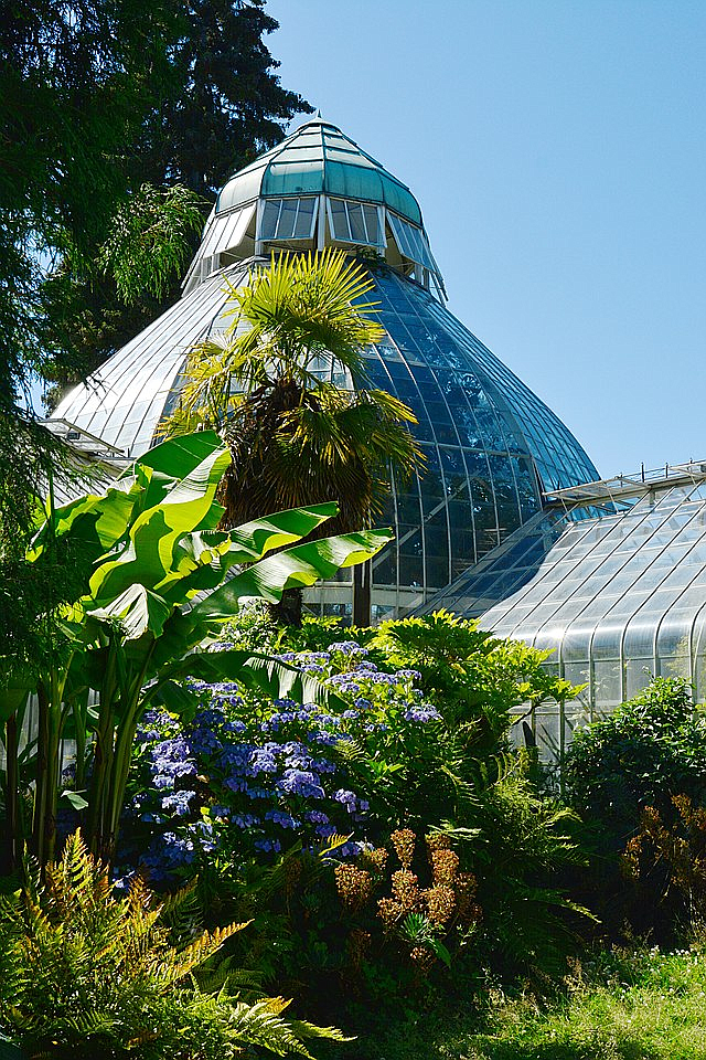 A "Walk and Talk" at Wright Park in Tacoma is one of the featured events of the Pierce County Trails Day taking place on July 30. Pictured here is the W.W. Seymour Botanical Conservatory located in Wright Park.