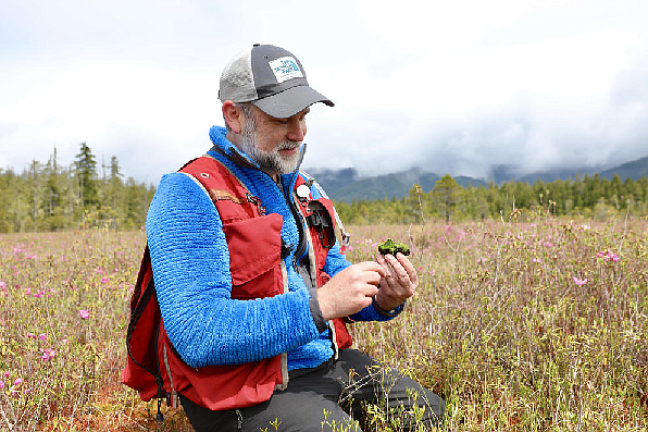Joe Rocchio, who manages the Natural Heritage Program for the Washington State Department of Natural Resources, kneels in Crowberry Bog, a protected ecosystem that is the only raised bog in the state. (Hannah Weinberger/Crosscut)