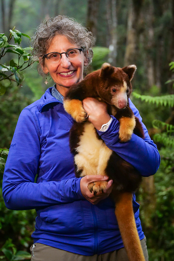 Woodland Park Zoo's Lisa Dabek, PhD, a senior conservation scientist with a young Matschie’s tree kangaroo at Wasaunon research camp in YUS. Dabek has been nominated for the 2023 Indianapolis Prize, the world's leading award for animal conservation. (photo by Jonathan Byers)
