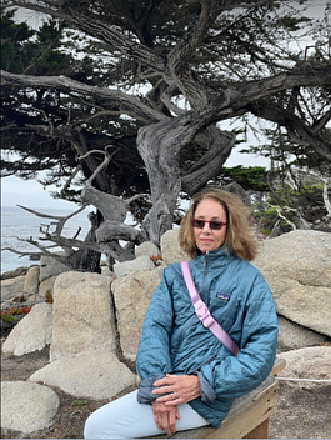 Sunny Lucia in Monterey, California along the road at 17 Mile Drive