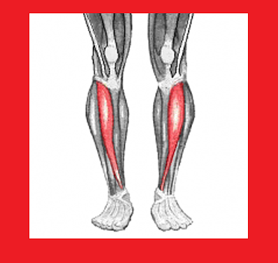 Can leg pain be an early sign of heart attack or stroke?