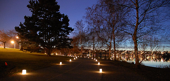 Green Lake Pathway of Lights