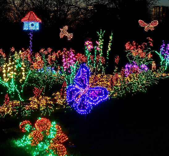 Bellevue Botanical's "Garden d'Lights" is one of several winter light shows in the area this season. Photo courtesy Bellevue Botanical Garden