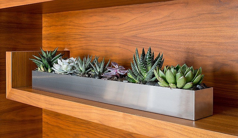 Succulents are low-maintenance houseplants that add interest and beauty to indoor décor, photo courtesy of Gardener’s Supply Company