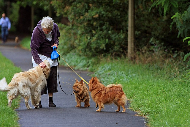 Exercise is one of 13 tips from neurologists to help prevent Alzheimer's disease