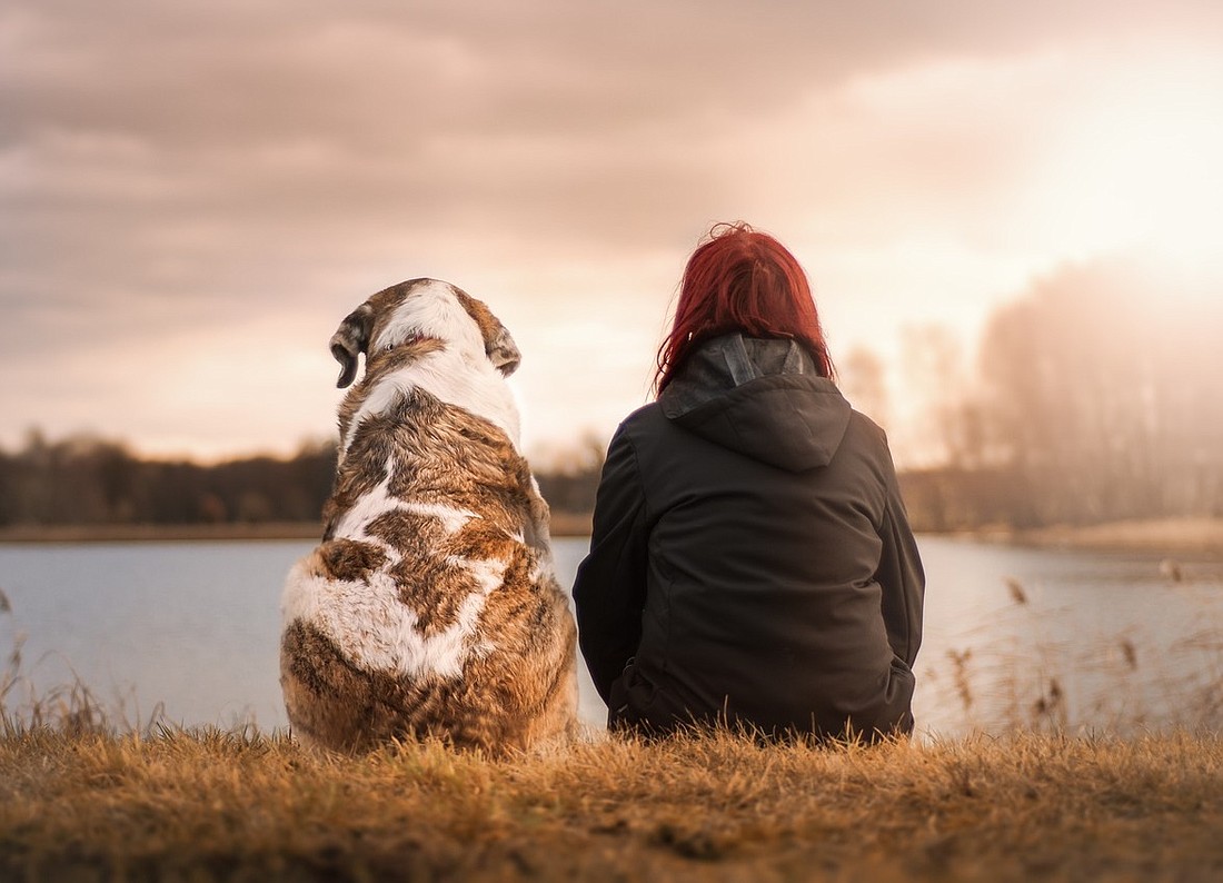 Pet Partners' Pet of the Year contest begins February 1