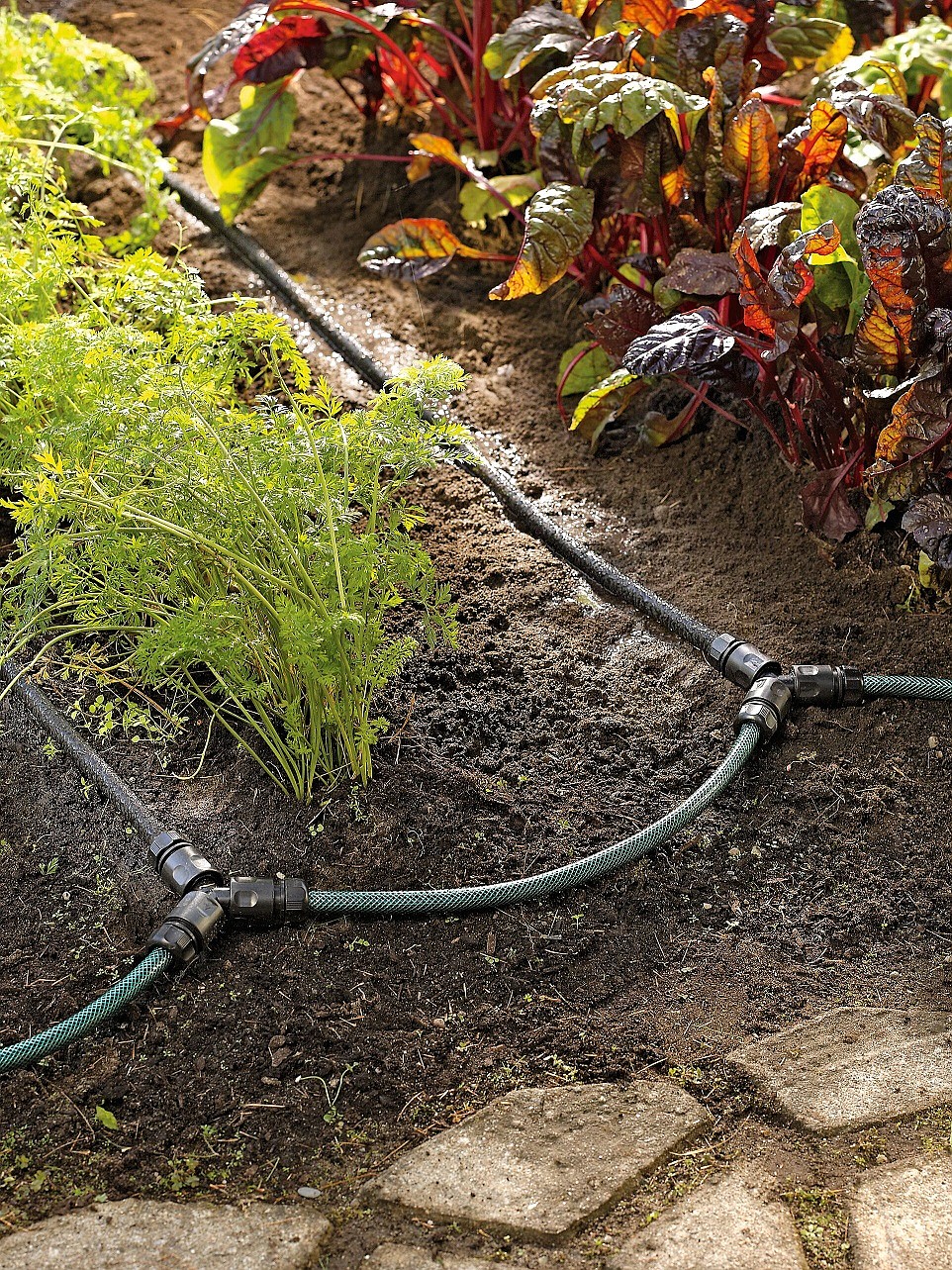 Snip-n-drip irrigation systems apply water directly where it is needed and fit any garden planted in rows. Photo courtesy of Gardener’s Supply Company/gardeners.com