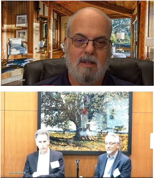 Jim Andrianos, Drew Oliveira and Mark Pregler discuss the findings of a Washington Health Alliance report during a virtual webinar. (Screenshot of webinar)