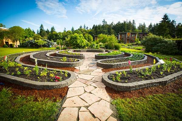 The herb garden at Bastyr University in Kenmore is one of the Pacific Northwest’s finest examples of an organic, fully sustainable, medicinal herb garden