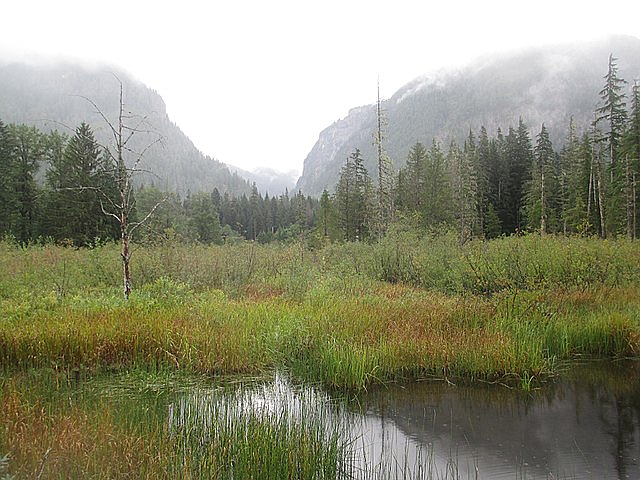 Cross peaceful meadow and marshland on the way to Big Four Ice Cave, photo by Robert Ashworth, courtesy CommonsWikimedia.