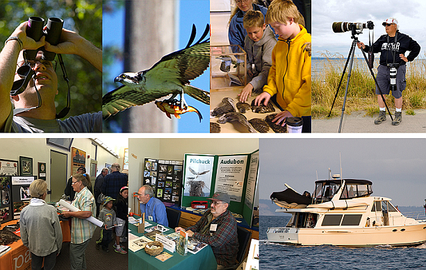 The Puget Sound Bird Fest takes place in Edmonds on September 9th and 10th