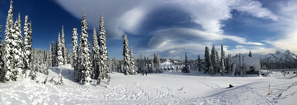 Snowshoe tracks meander through the snow-covered meadows of Paradise. National Park Service photo