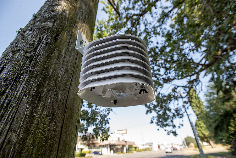 As part of the Greening Research in Tacoma initiative, air temperature monitors were set up in a city neighborhood. Hannah Letinich/The Nature Conservancy)