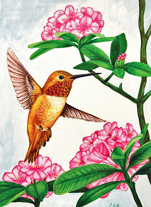 Puget Sound Bird Fest 2024 poster contest winner, "Rufous Hummingbird and Pacific rhododendron" by Lilia Fromm