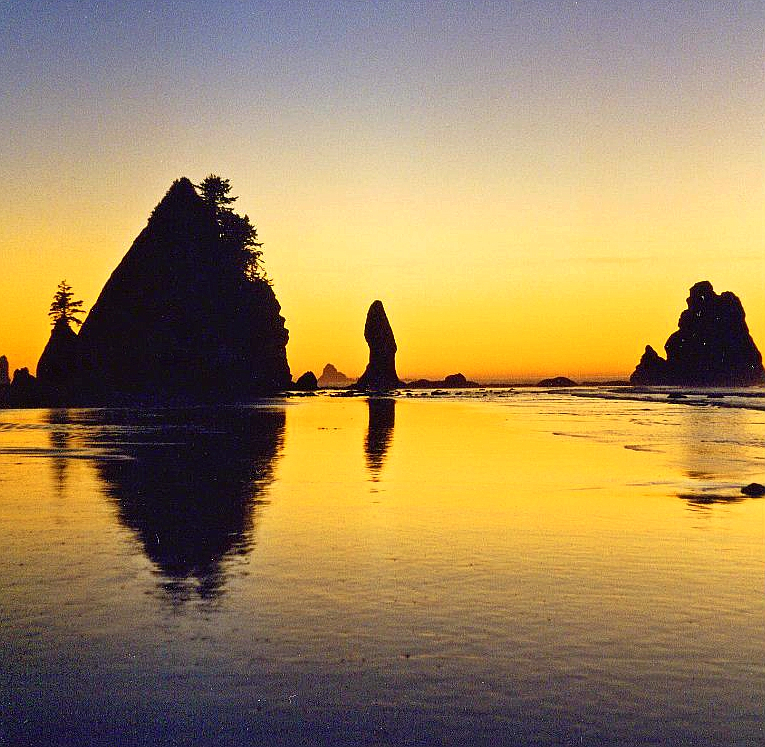 Shi Shi Beach at Olympic National Park, photo courtesy of Creative Commons