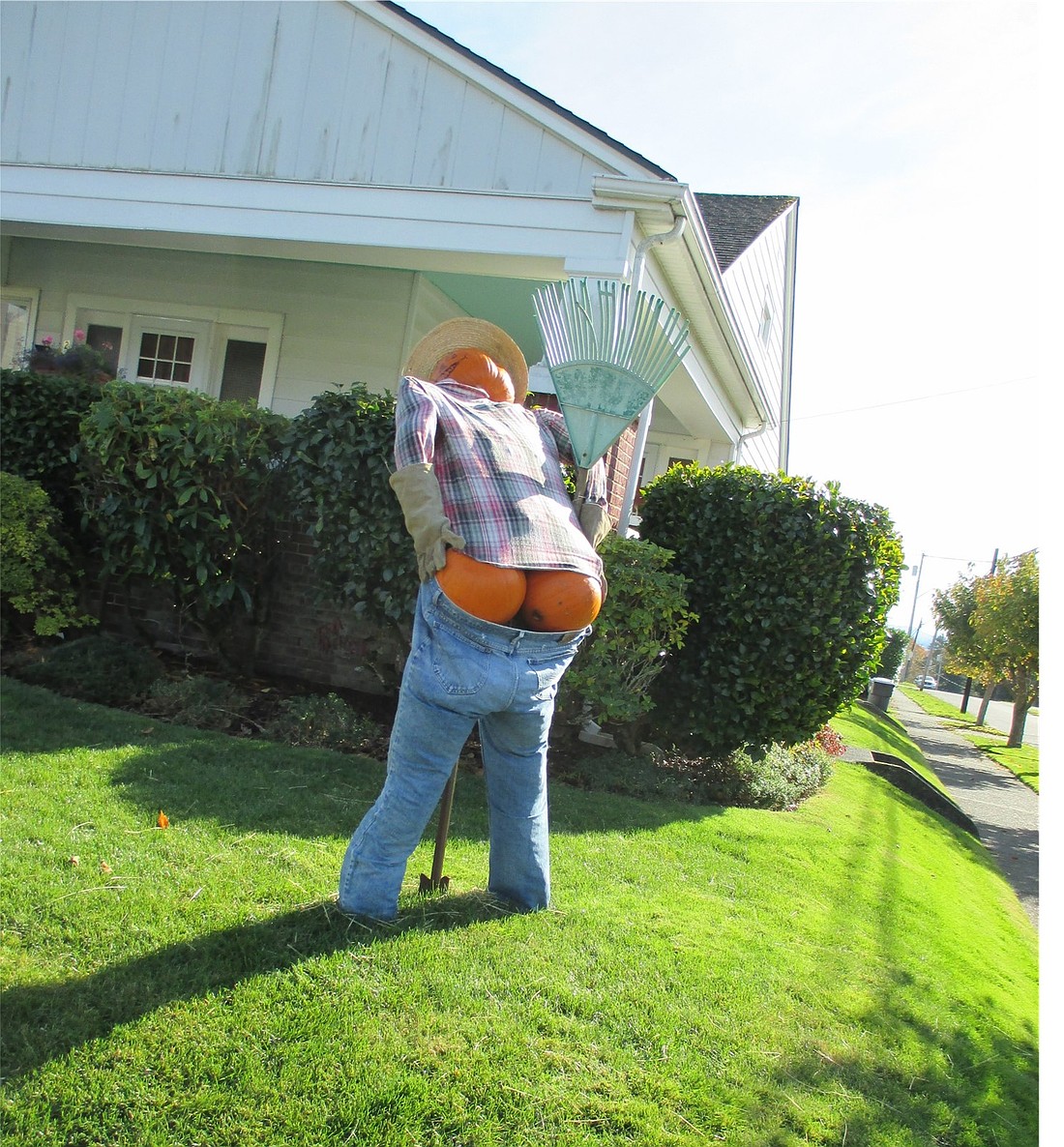 Neighborhood Pumpkin posterior