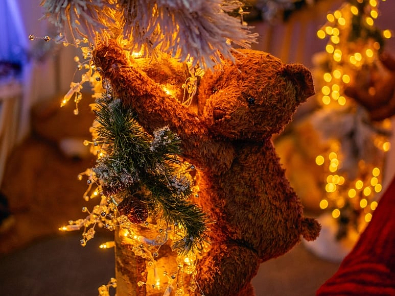 Festivals of Trees, Gingerbread Villages, the Teddy Bear Suite... the season of events has begun