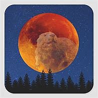 Beaver Moon Free from Pinterest