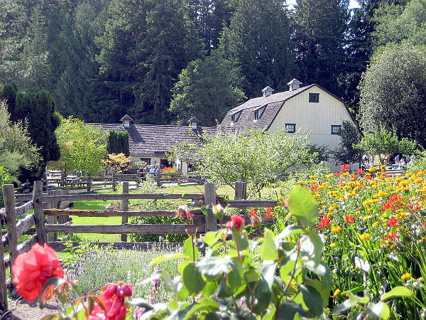 The Olympic Music Festival got it's start in this barn in Quilcene before moving to Port Townsend. This farm setting is now home to "Concerts in the Barn"